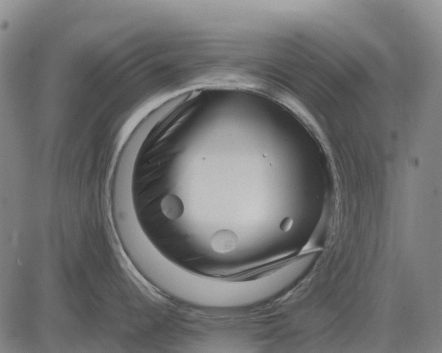 X0000083661344200703051742