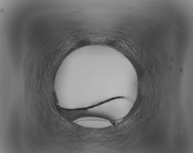 X0000083661345200703051741