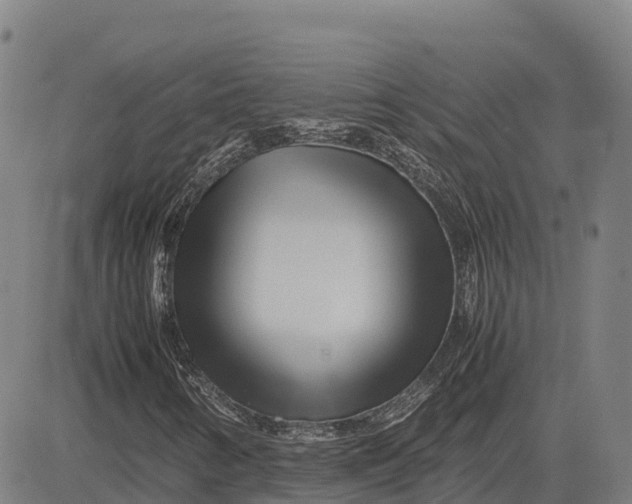 X0000083661346200703051741