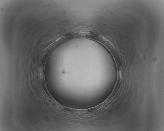 X0000083661347200703051741