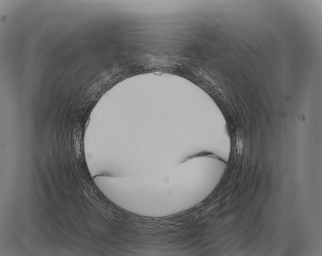 X0000083661348200703051741