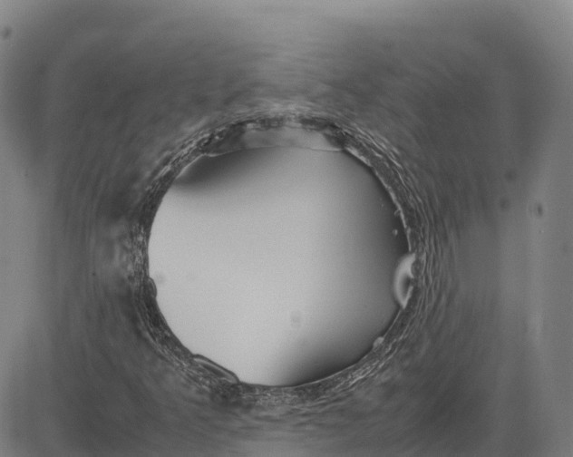 X0000083661349200703051741