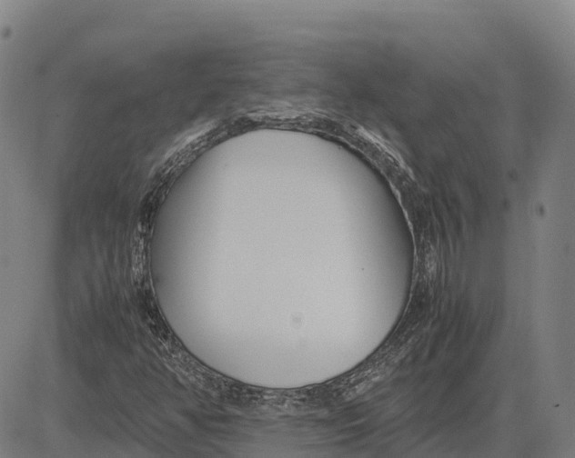 X0000083661350200703051741