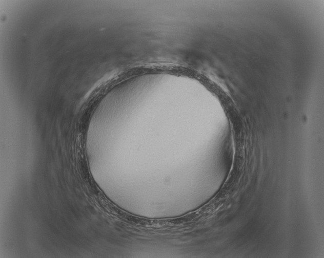 X0000083661351200703051741