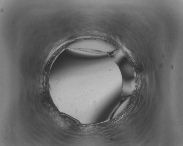 X0000083661352200703051741