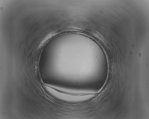 X0000083661355200703051741