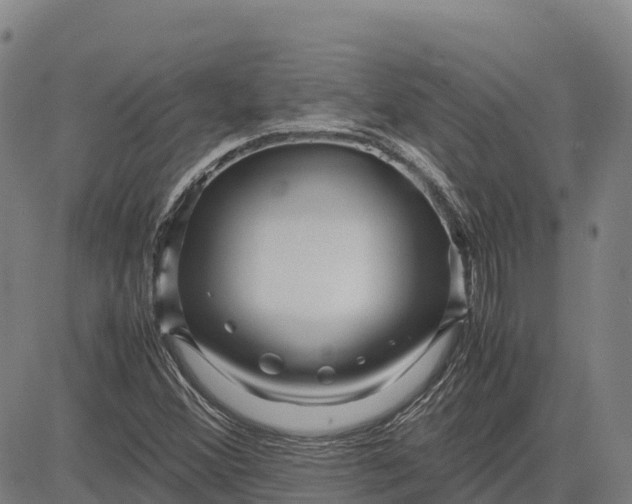 X0000083661356200703051741