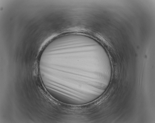 X0000083661358200703051741