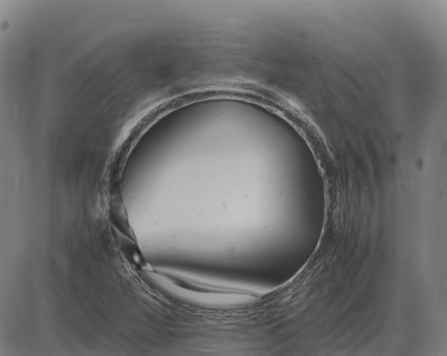 X0000083661360200703051741