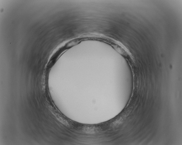 X0000083661364200703051741