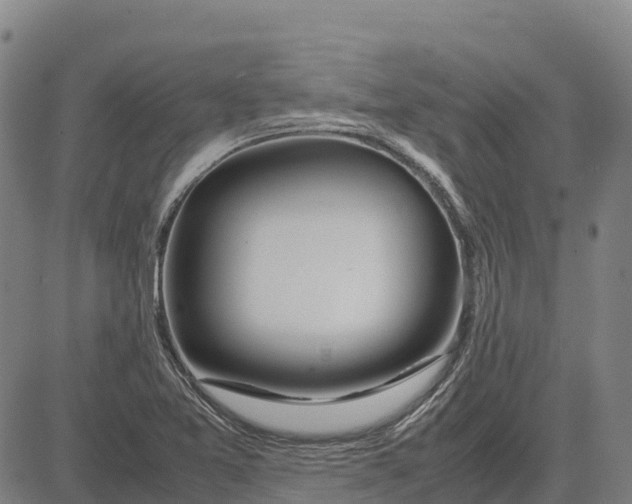 X0000083661365200703051741