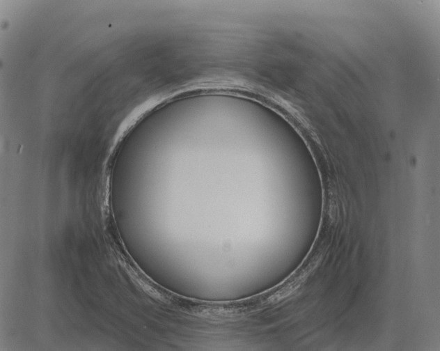 X0000083661366200703051741