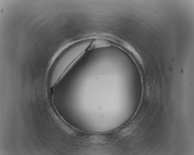 X0000083661368200703051741