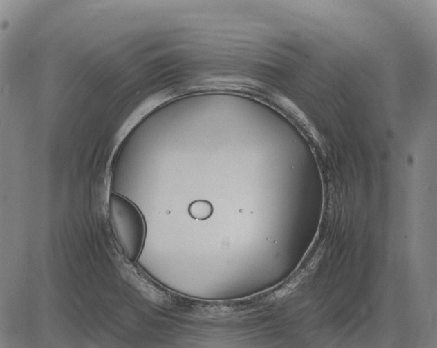 X0000083661370200703051741