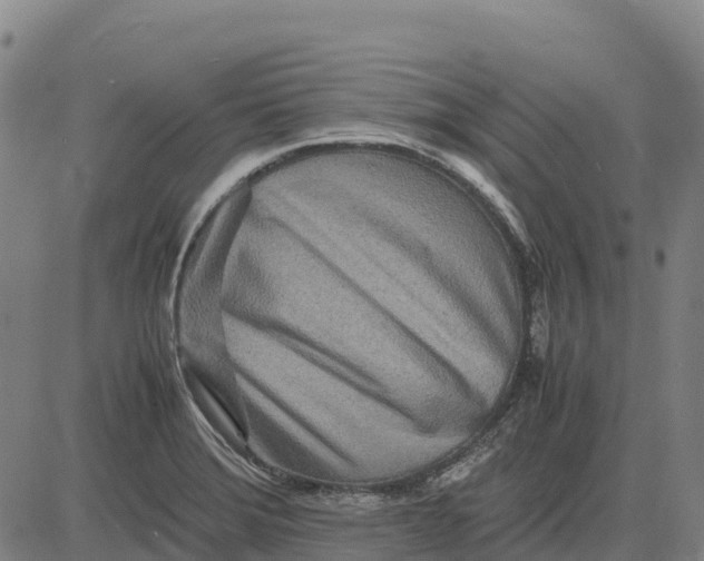 X0000083661372200703051741