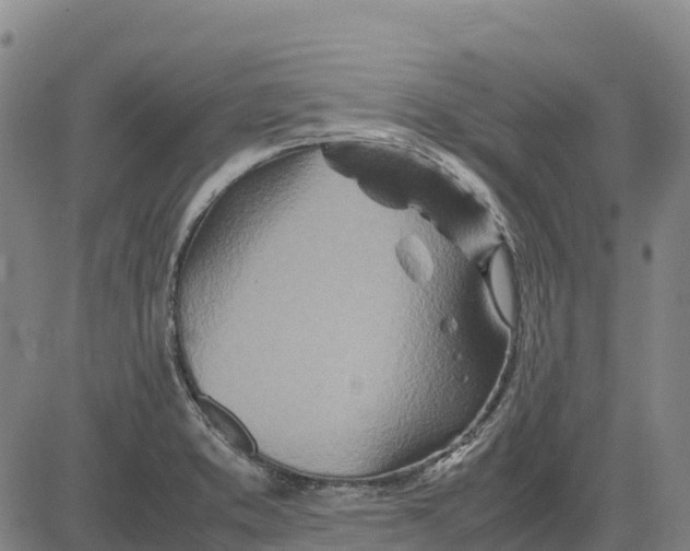 X0000083661373200703051741