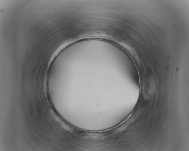 X0000083661374200703051741