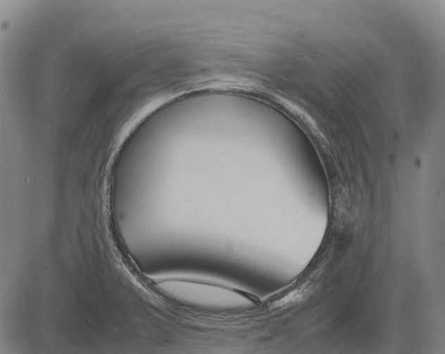 X0000083661375200703051741