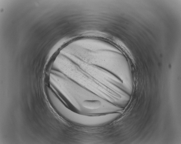 X0000083661376200703051741