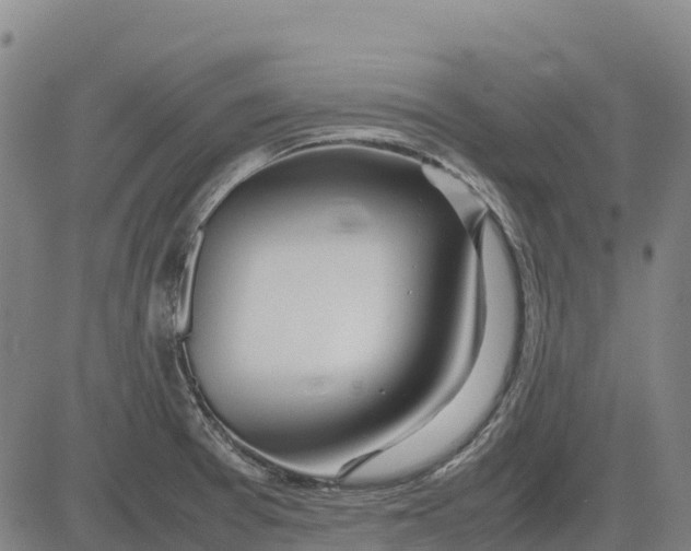 X0000083661377200703051741