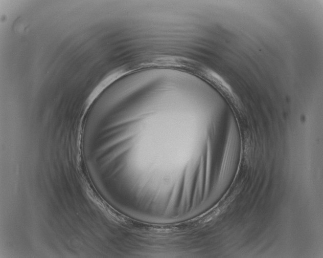 X0000083661378200703051741