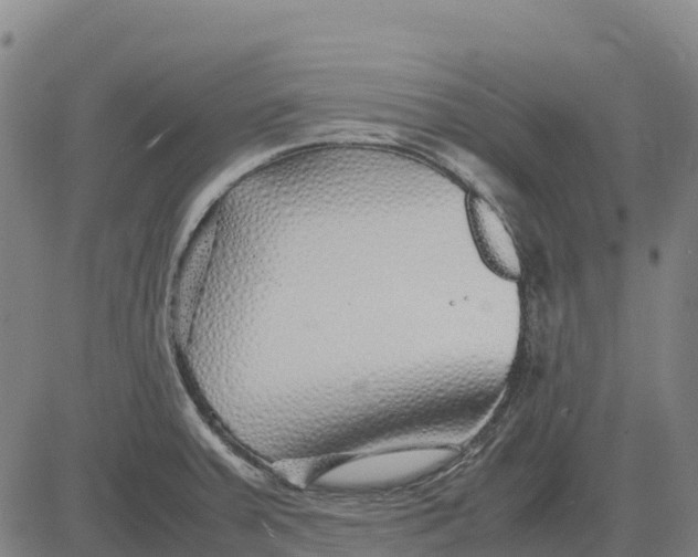 X0000083661379200703051741