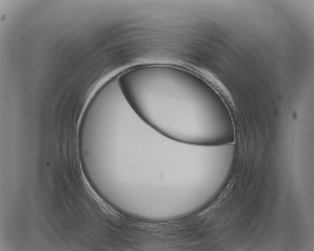 X0000083661380200703051741