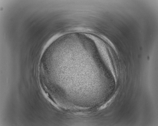 X0000083661381200703051741