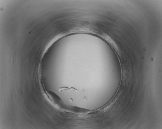 X0000083661382200703051741