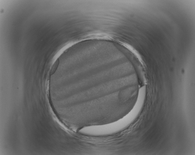 X0000083661383200703051741