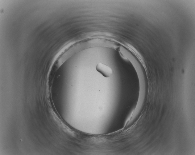 X0000083661384200703051741