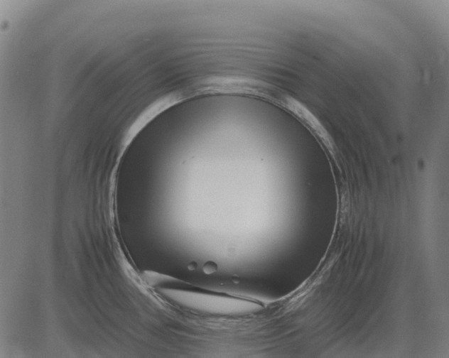 X0000083661386200703051741