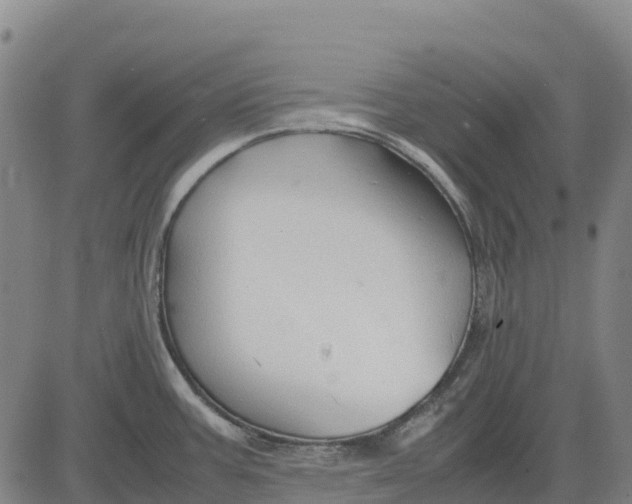 X0000083661387200703051741