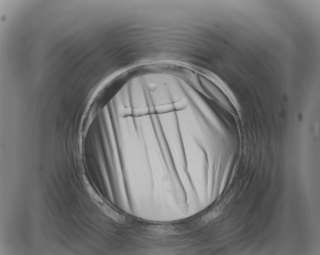 X0000083661388200703051741