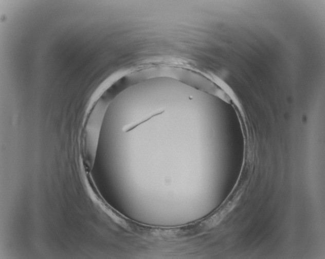 X0000083661389200703051741