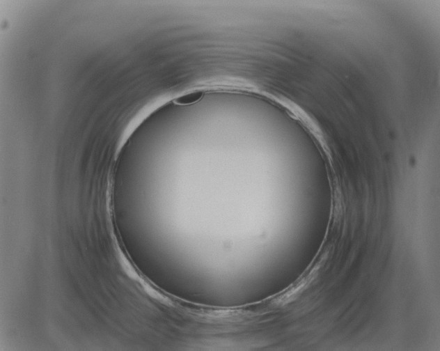 X0000083661390200703051741