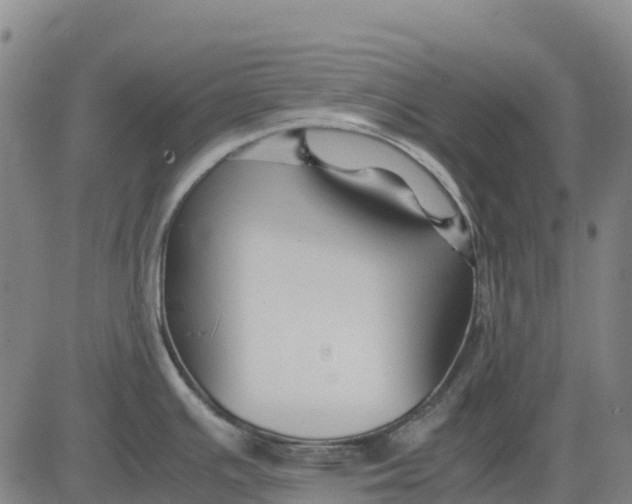 X0000083661391200703051740