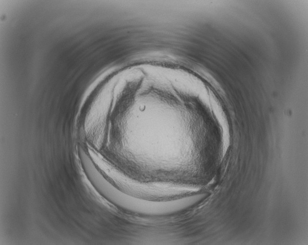 X0000083661392200703051740