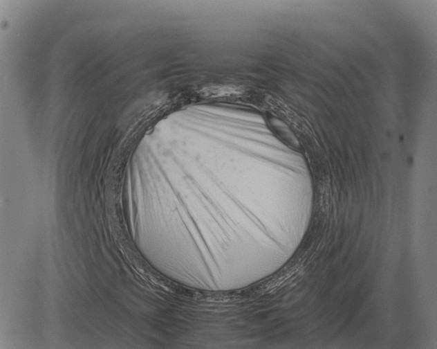 X0000083661393200703051740