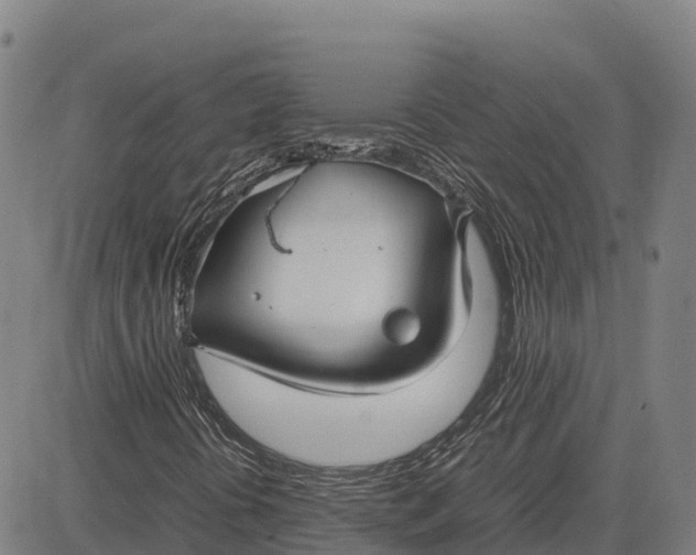 X0000083661394200703051740