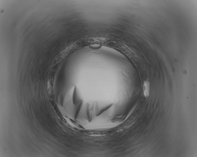 X0000083661395200703051740