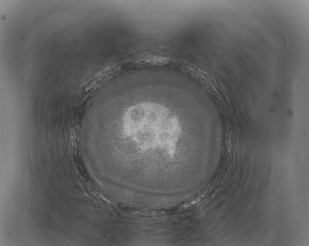 X0000083661397200703051740