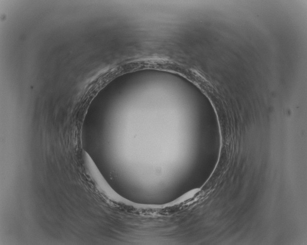 X0000083661398200703051740