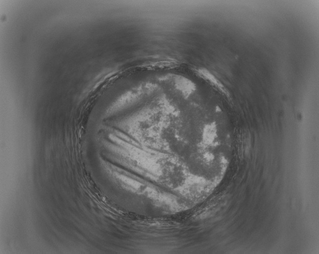 X0000083661399200703051740