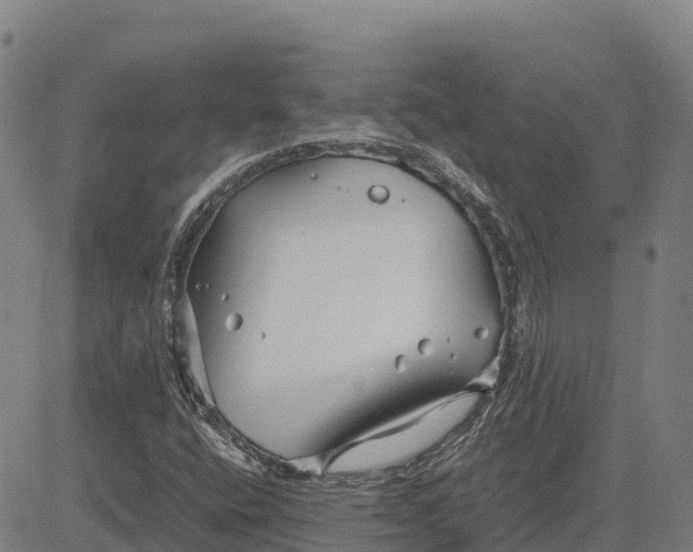 X0000083661400200703051740