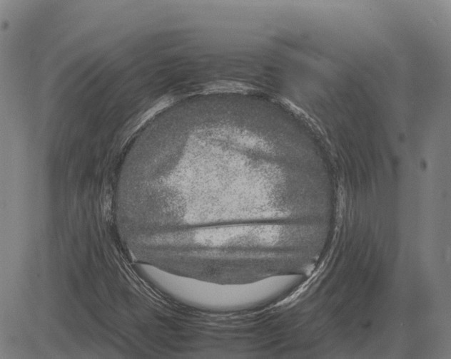 X0000083661401200703051740