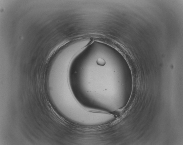 X0000083661402200703051740