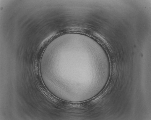 X0000083661403200703051740