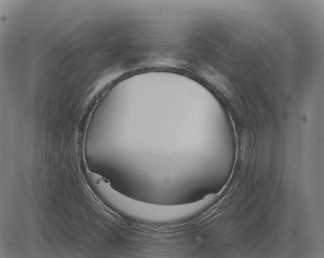 X0000083661404200703051740