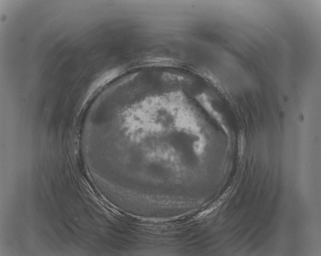 X0000083661405200703051740